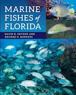 Marine Fishes of Florida