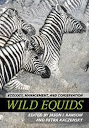 Wild Equids