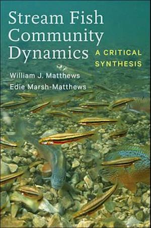 Stream Fish Community Dynamics