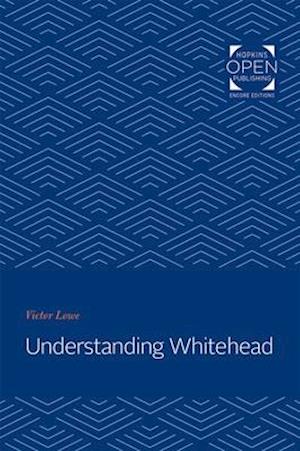 Understanding Whitehead