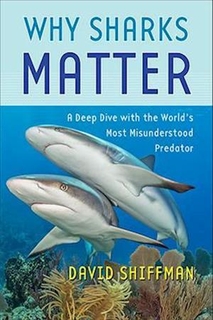 Why Sharks Matter