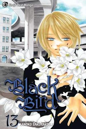 Black Bird, Volume 13