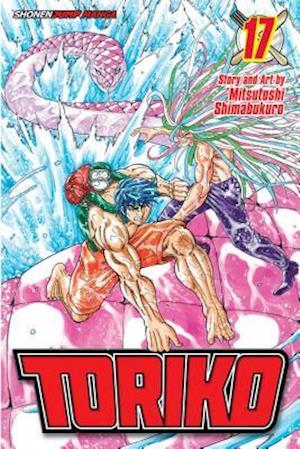 Toriko, Vol. 17