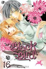 Black Bird, Volume 16