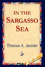 In the Sargasso Sea