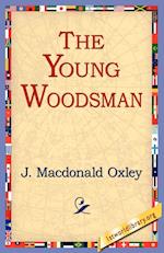 The Young Woodsman