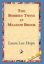 The Bobbsey Twins at Meadow Brook