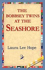 The Bobbsey Twins at the Seashore