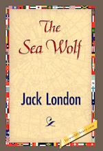 The Sea Wolf