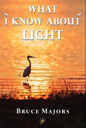 What I Know About Light