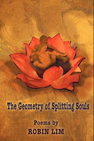 THE GEOMETRY OF SPLITTING SOULS