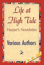 Life at High Tide