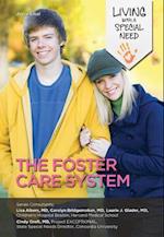 Foster Care System