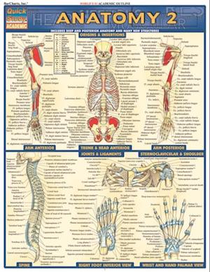 Anatomy 2 - Reference Guide (8.5 x 11)