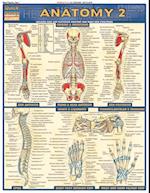 Anatomy 2 - Reference Guide (8.5 x 11)