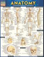 Anatomy - Reference Guide (8.5 x 11)