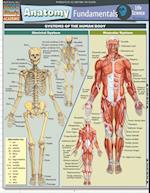 Anatomy Fundamentals: Life Science