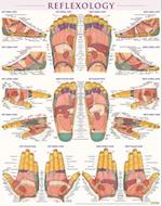 Reflexology Poster (22 X 28 Inches) - Laminated