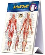 Anatomy Easel Book