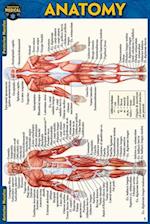 Anatomy Pocket-Sized Reference Guide (4x6 Inches)