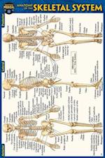 Anatomy of the Skeletal System (Pocket-Sized Edition - 4x6 Inches)