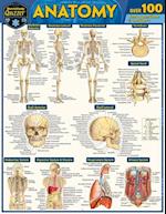 Anatomy Quizzer