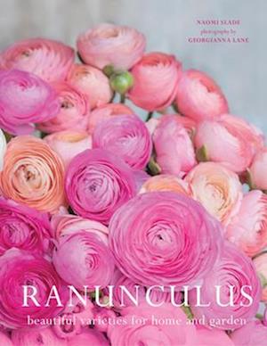 Ranuculus