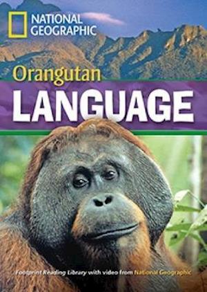 Orangutan Language