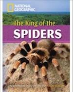 The King of the Spiders