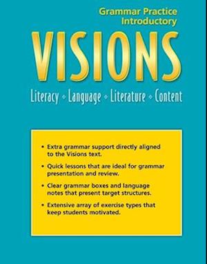 Visions Intro: Grammar Practice