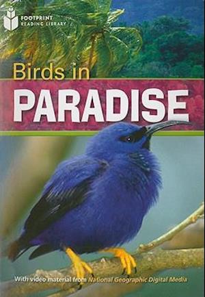 Birds in Paradise