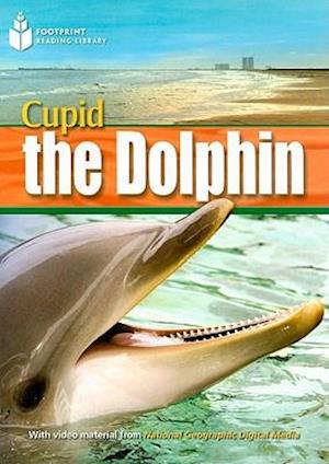 Cupid the Dolphin: Footprint Reading Library 4