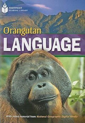 Orangutan Language