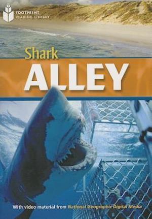 Shark Alley