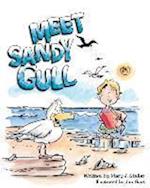 Meet Sandy Gull