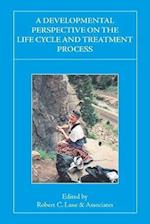 A Developmental Perspective on the Life Cycle and Treatment Process 