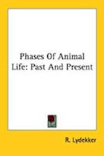 Phases Of Animal Life