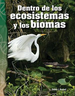 Dentro de Los Ecosistemas Y Los Biomas (Inside Ecosystems and Biomes) (Spanish Version) (Life Science)