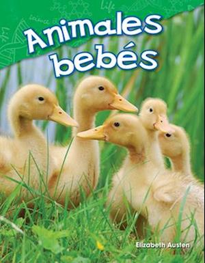 Animales Bebes (Baby Animals) (Spanish Version) (Kindergarten)