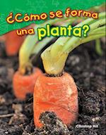 ¿cómo Se Forma Una Planta? (What Makes a Plant?) (Spanish Version) (Grade 1)