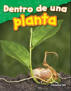 Dentro de Una Planta (Inside a Plant) (Spanish Version) (Grade 1)