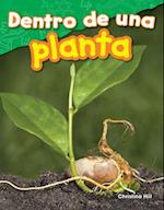 Dentro de Una Planta (Inside a Plant) (Spanish Version) (Grade 1)