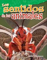 Los Sentidos de Los Animales (Animal Senses) (Spanish Version) (Grade 4)