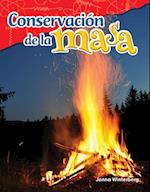 Conservacion de la Masa (Conservation of Mass) (Spanish Version) (Grade 5)