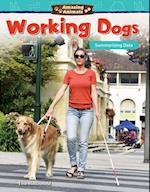 Amazing Animals: Working Dogs