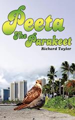 Peeta the Parakeet