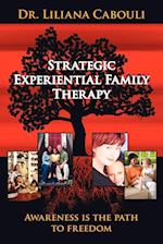 Strategic Experiential Family Therapy