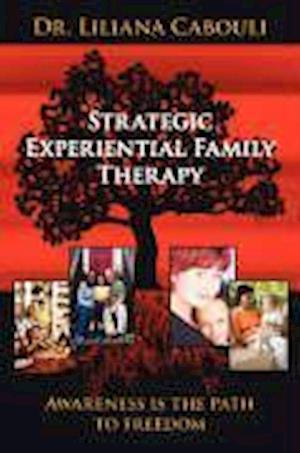 Strategic Experiential Family Therapy