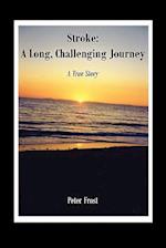 Stroke: A Long, Challenging Journey: A True Story 