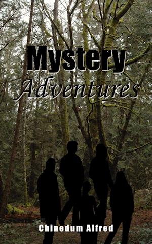 Mystery Adventures